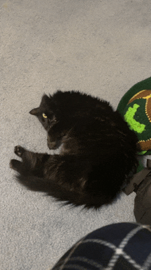 Black Cat Tabby GIF - Black Cat Tabby Tabby Cat GIFs