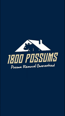 1800possums possum removal possum proofing australia
