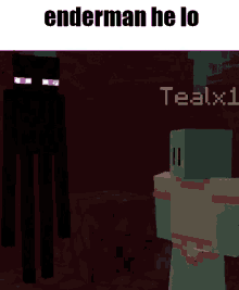 Tealx1 Teal Minecraft GIF