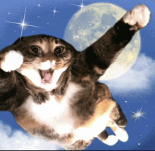 a cat is flying through the air with a moon in the background
