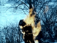 a person is burning in the snow in front of a body of water