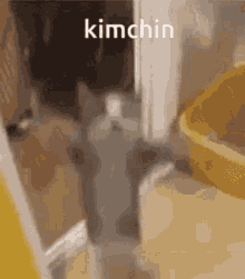 kimchi maangchi yummy