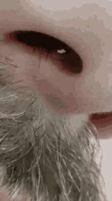 a close up of a person 's nose and beard