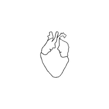 a black and white drawing of a human heart .