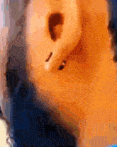 a close up of a person 's ear with a piercing in it