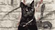 Tell Me More Salem GIF - Tell Me More Salem Try Me GIFs