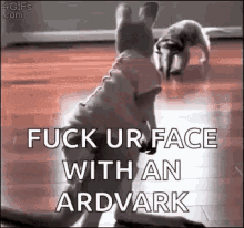 Aardvark Scare GIF - Aardvark Scare Come At Me GIFs