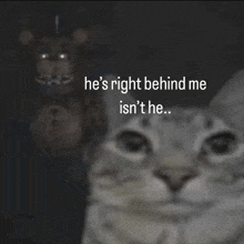 a cat with the words he 's right behind me is n't he behind it