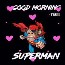 Good Morning Tribe GIF