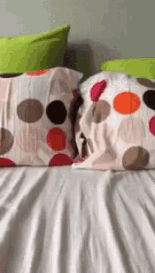 Cat Pillow GIF - Cat Pillow Surprise GIFs