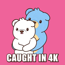 two teddy bears standing next to each other with the words caught in 4k