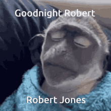 Goodnight Robert GIF - Goodnight Robert Jones GIFs