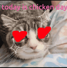 Chicken Day Doxx Hq GIF - Chicken Day Doxx Hq Chicken Hq GIFs