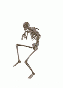 Sneaky Skeleton GIF - Sneaky Skeleton Skelebob GIFs