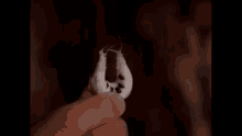 a person is holding a piece of cotton candy with googly eyes .