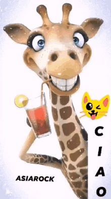 Giraffe Funny GIFs | Tenor