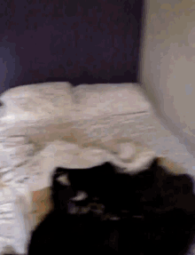 a cat is laying on a bed with white sheets