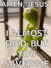 Sussa GIF