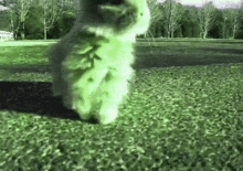 Green Bunny Rabbit GIF - Green Bunny Rabbit Dance GIFs