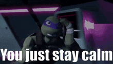 Tmnt Donatello GIF - Tmnt Donatello You Just Stay Calm GIFs