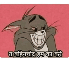 Bhenchod Tom And Jerry GIF - Bhenchod Tom And Jerry Tom GIFs