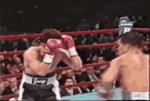 Knock Out GIF - Knock Out Get GIFs