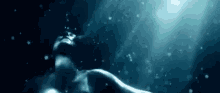 Underwater Drowning GIF - Underwater Drowning Float GIFs