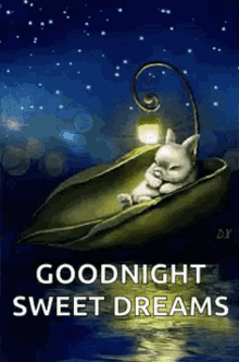 Goodnight Sweet Dreams GIF - Goodnight Sweet Dreams Stars GIFs