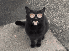 Glasses Spectacles GIF - Glasses Spectacles Chat GIFs