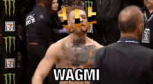 wagmi cryptocurrency meme