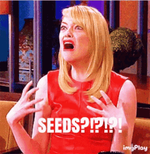 Seeds No GIF - Seeds No GIFs
