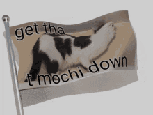 Mochi Mochi The Cat GIF - Mochi Mochi The Cat Bjc GIFs