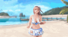Dead Or Alive Jump GIF - Dead Or Alive Jump Bounce GIFs
