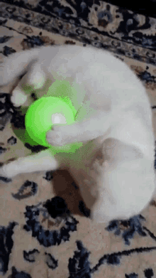 Luci Cat GIF - Luci Cat Kitty GIFs