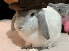 a white rabbit wearing a brown cowboy hat says no importa yo te amo asf