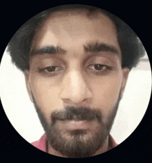 a close up of a man 's face with a beard and a red shirt .