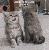 Slush Night GIF - Slush Night Good Night GIFs