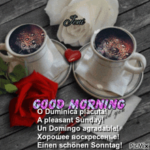 a picture of two cups of coffee with roses and the words good morning written on it