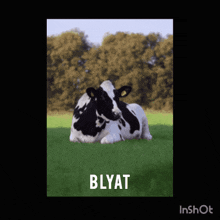 Blyat Bljat GIF - Blyat Bljat Cow GIFs