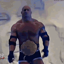 Goldberg World Heavyweight Champion GIF - Goldberg World Heavyweight Champion Entrance GIFs