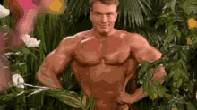 Bodybuilder Tarzan GIF