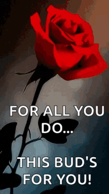 Red Rose Flower For You GIF - Red Rose Flower For You For All You Do GIFs