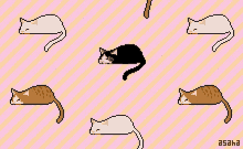 a pixel art of a cat with the word asha on the bottom left