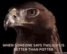 harry potter twilight funny