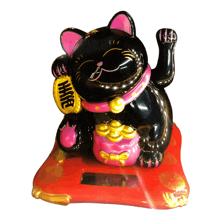 a black cat with a pink collar is holding a bag that says " wealth "