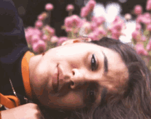 a woman laying in a field of pink flowers with her eyes closed