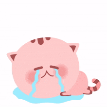 cute cat animal pink sad