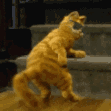 cat dancing shake it off garfield