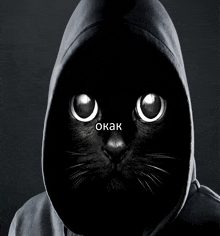 a black cat wearing a hooded jacket with the word okak on its face