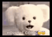 Snuggle Bear Hows It Going GIF - Snuggle Bear Hows It Going GIFs